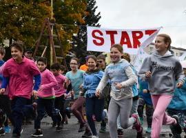 Charitativní běh Krupkou 2017 na pomoc teplické nemocnici